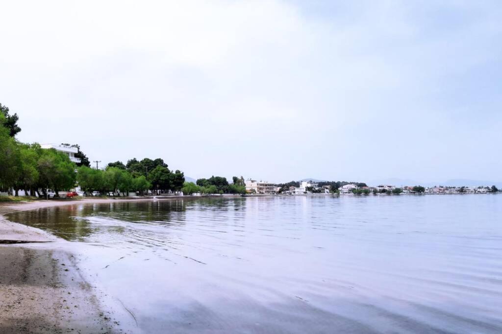 Πολυτελές Διαμέρισμα 2 Χαλκίδα-Παραλία Αυλίδος Paralia Avlidhos Bagian luar foto