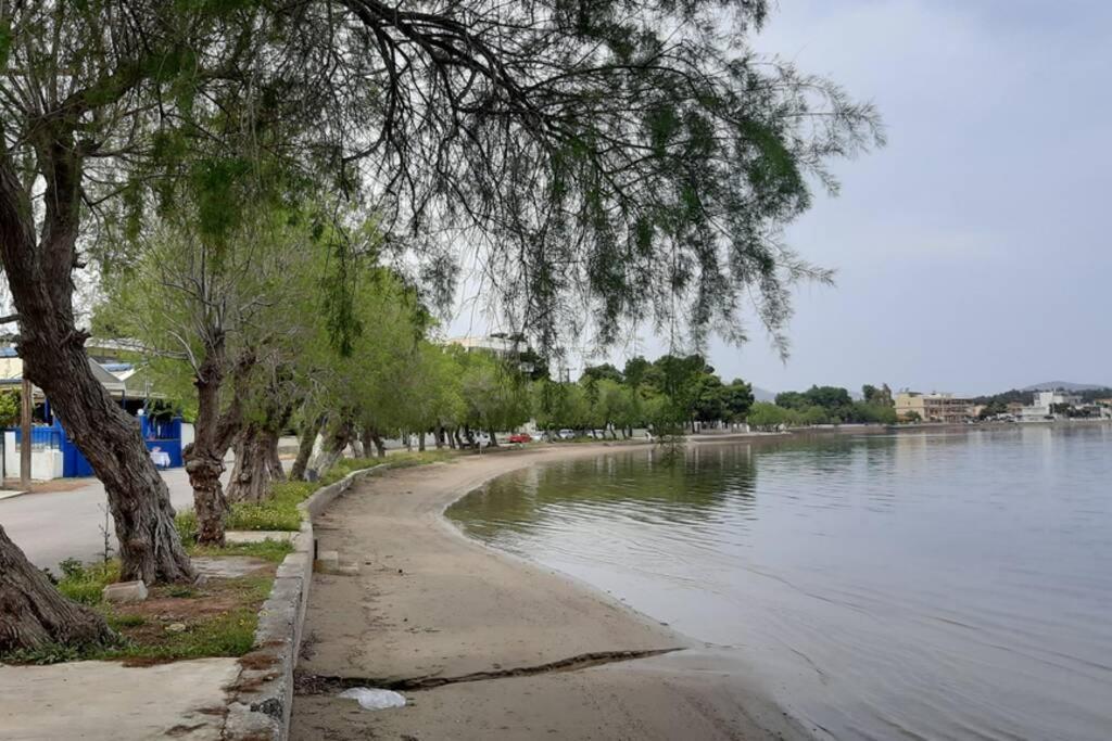 Πολυτελές Διαμέρισμα 2 Χαλκίδα-Παραλία Αυλίδος Paralia Avlidhos Bagian luar foto